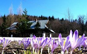 Goralska Czarcia Chata Pod Jalowcem