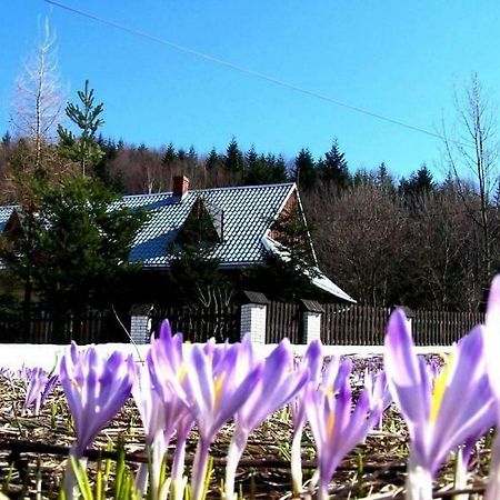 Goralska Czarcia Chata Pod Jalowcem Stryszawa Exteriér fotografie