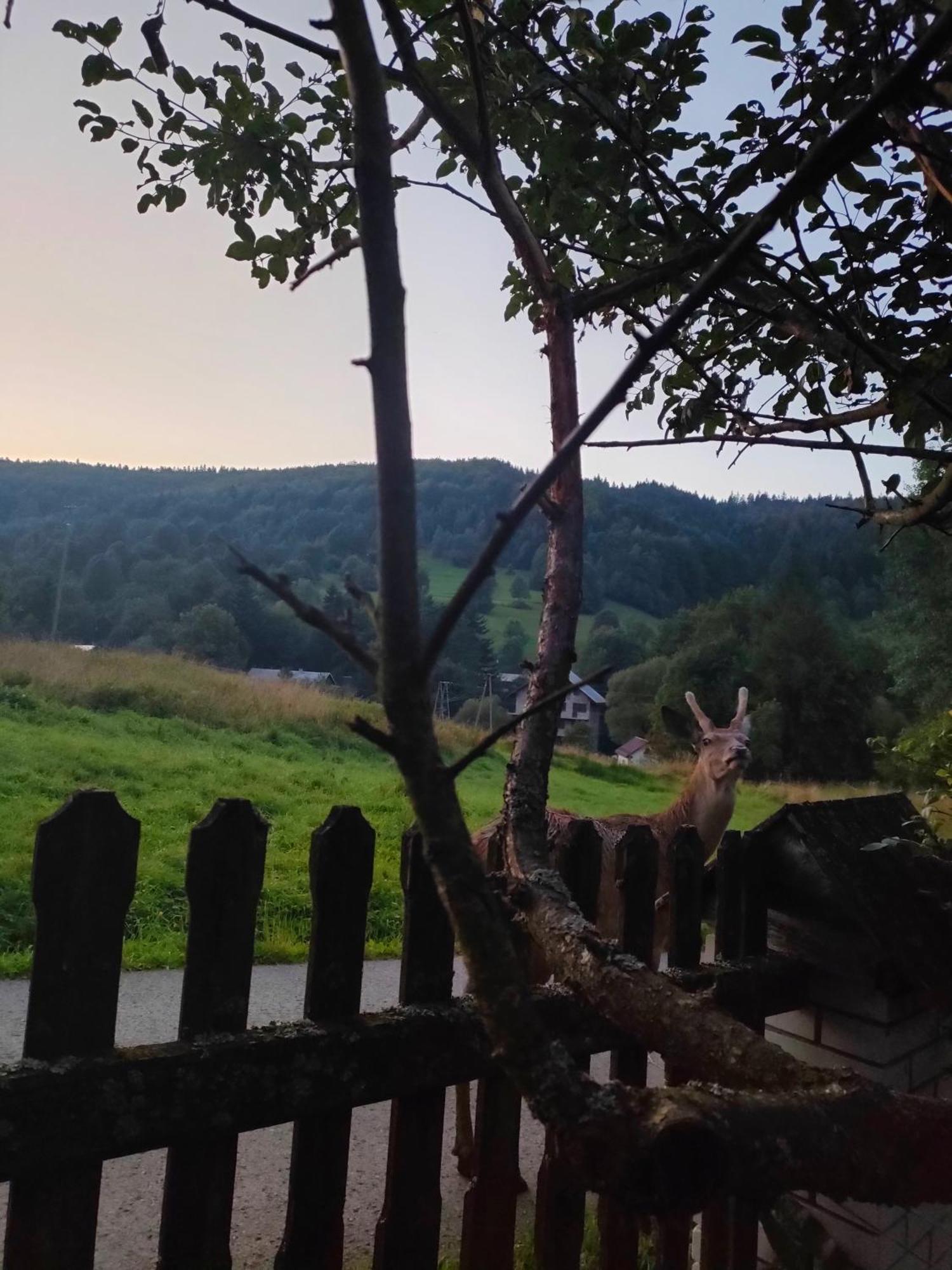 Goralska Czarcia Chata Pod Jalowcem Stryszawa Exteriér fotografie