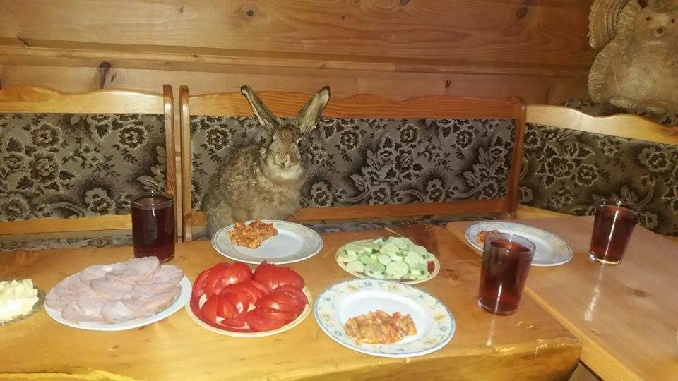 Goralska Czarcia Chata Pod Jalowcem Stryszawa Exteriér fotografie