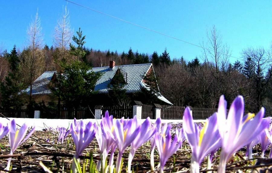 Goralska Czarcia Chata Pod Jalowcem Stryszawa Exteriér fotografie